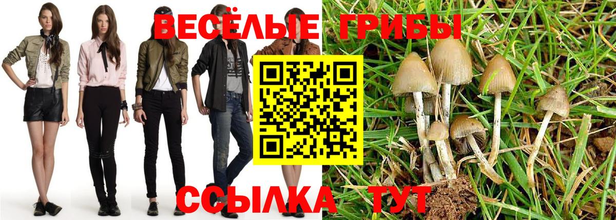Псилоцибиновые грибы Psilocybe  Галлюциногенные грибы мицелий  Соликамск  Вход с VPN 